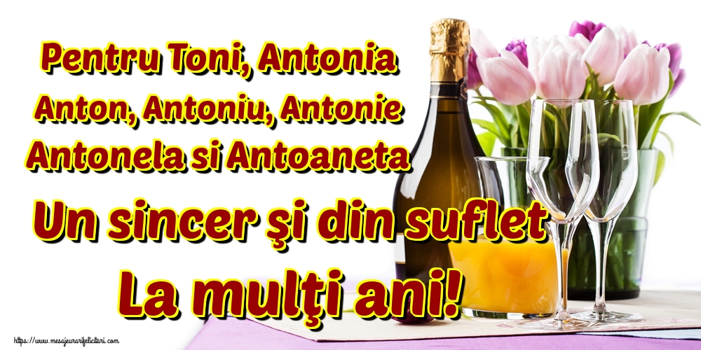 Felicitari de Sfantul Antonie cel Mare - Pentru Toni, Antonia Anton, Antoniu, Antonie Antonela si Antoaneta Un sincer şi din suflet La mulţi ani! - mesajeurarifelicitari.com