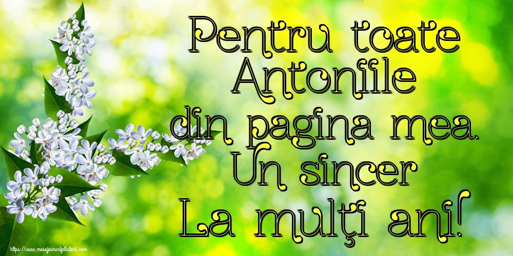 Felicitari de Sfantul Antonie cel Mare - Pentru toate Antoniile din pagina mea. Un sincer La mulţi ani! - mesajeurarifelicitari.com