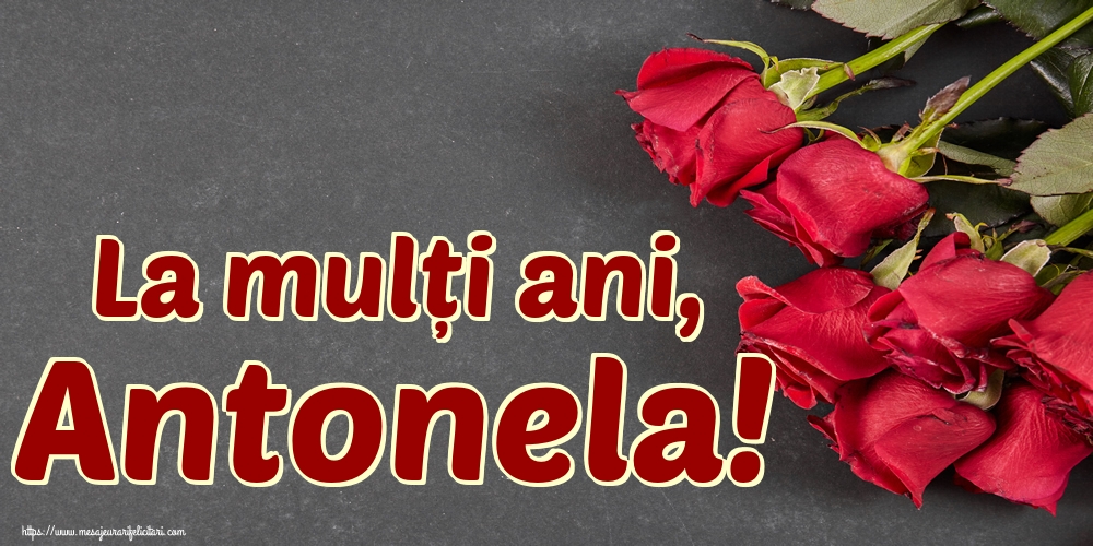 Felicitari de Sfantul Antonie cel Mare - La mulți ani, Antonela! - mesajeurarifelicitari.com