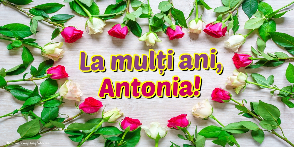 Felicitari de Sfantul Antonie cel Mare - La mulți ani, Antonia! - mesajeurarifelicitari.com