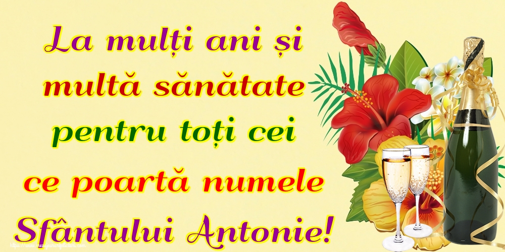 La mulți ani și multă sănătate pentru toți cei ce poartă numele Sfântului Antonie!