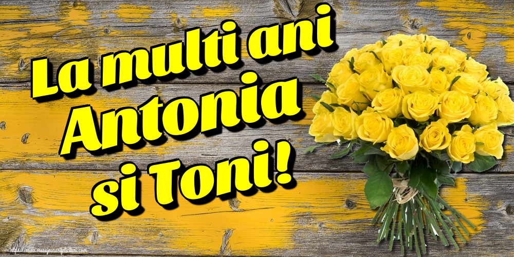 La multi ani Antonia si Toni!