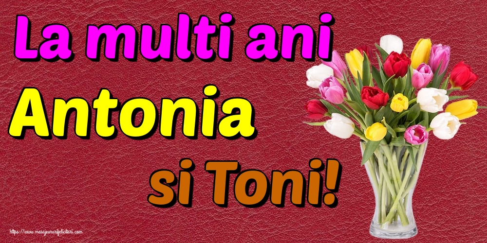 Felicitari de Sfantul Antonie cel Mare - La multi ani Antonia si Toni! - mesajeurarifelicitari.com