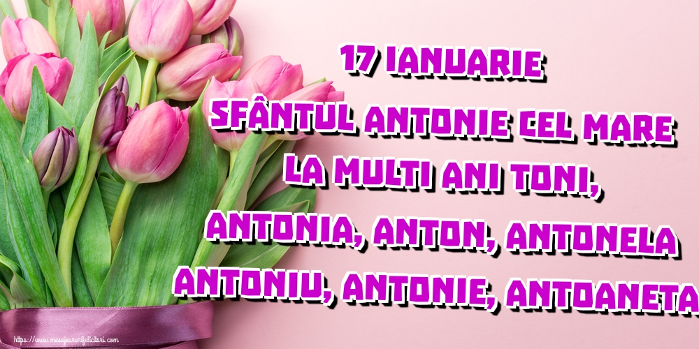 17 Ianuarie Sfântul Antonie cel Mare La multi ani Toni, Antonia, Anton, Antonela Antoniu, Antonie, Antoaneta!