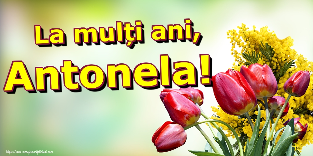 Felicitari de Sfantul Antonie cel Mare - La mulți ani, Antonela! - mesajeurarifelicitari.com