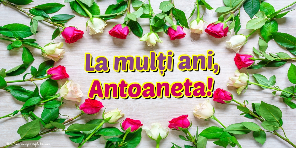 La mulți ani, Antoaneta!
