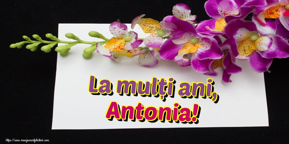 Felicitari de Sfantul Antonie cel Mare - La mulți ani, Antonia! - mesajeurarifelicitari.com