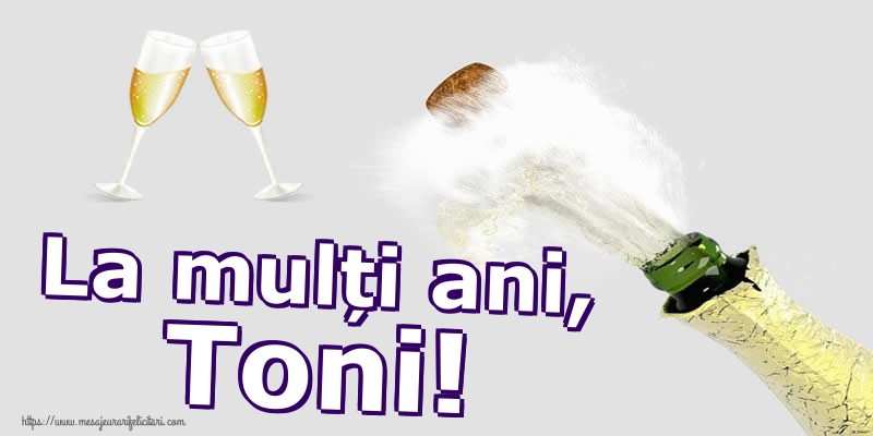 Felicitari de Sfantul Antonie cel Mare - La mulți ani, Toni! - mesajeurarifelicitari.com