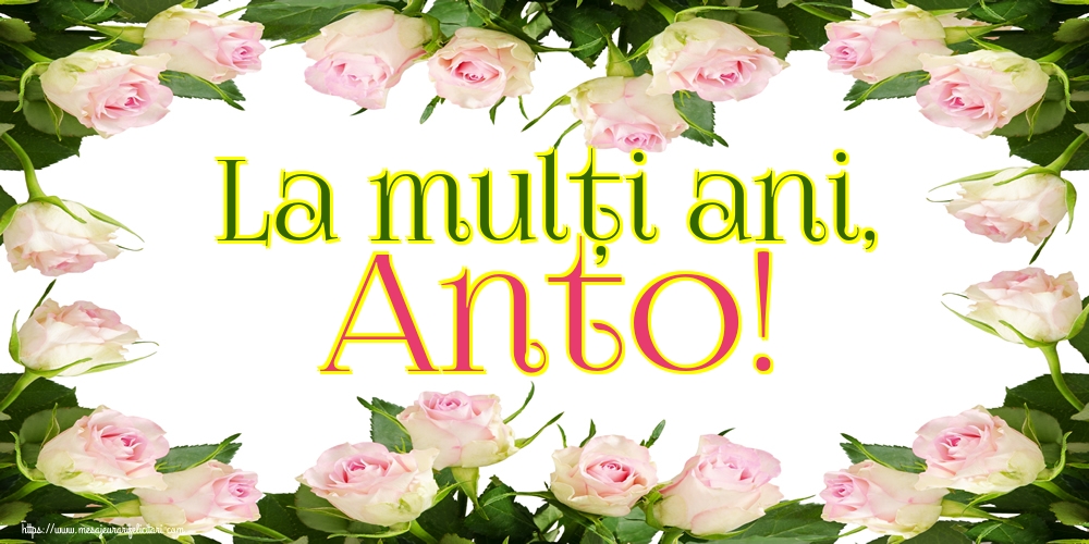 La mulți ani, Anto!