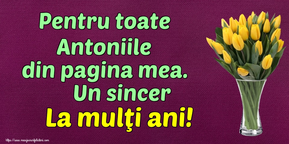 Pentru toate Antoniile din pagina mea. Un sincer La mulţi ani!