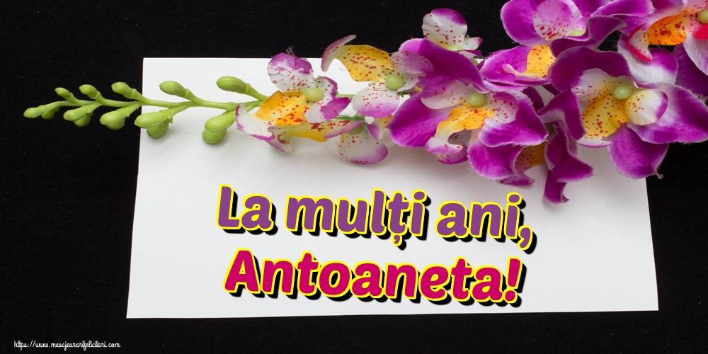 La mulți ani, Antoaneta!