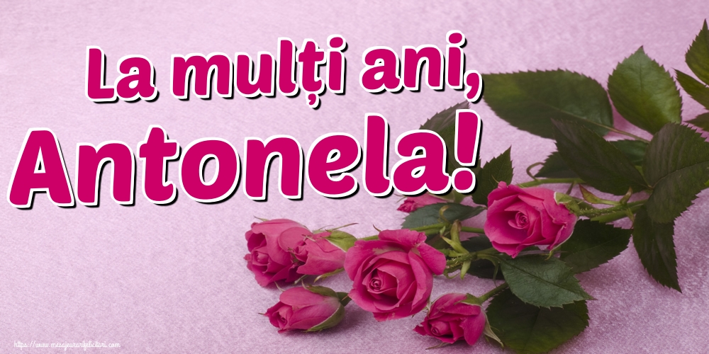 Felicitari de Sfantul Antonie cel Mare - La mulți ani, Antonela! - mesajeurarifelicitari.com