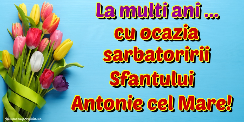La multi ani ... cu ocazia sarbatoririi Sfantului Antonie cel Mare!