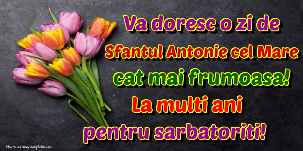 Felicitari de Sfantul Antonie cel Mare - Va doresc o zi de Sfantul Antonie cel Mare cat mai frumoasa! La multi ani pentru sarbatoriti! - mesajeurarifelicitari.com