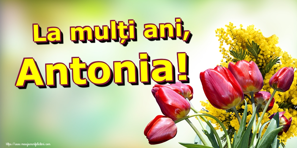 La mulți ani, Antonia!