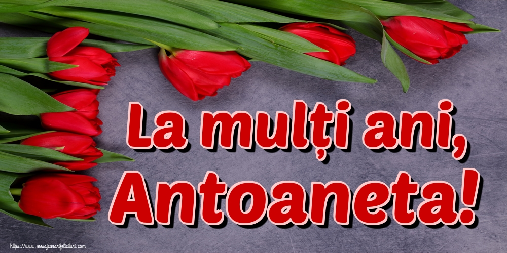 La mulți ani, Antoaneta!