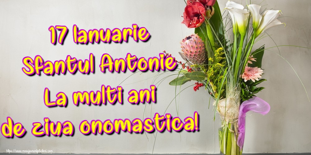 17 Ianuarie Sfantul Antonie La multi ani de ziua onomastica!
