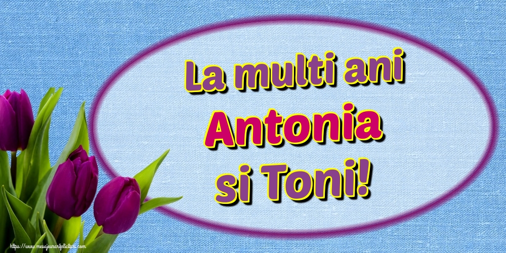 La multi ani Antonia si Toni!