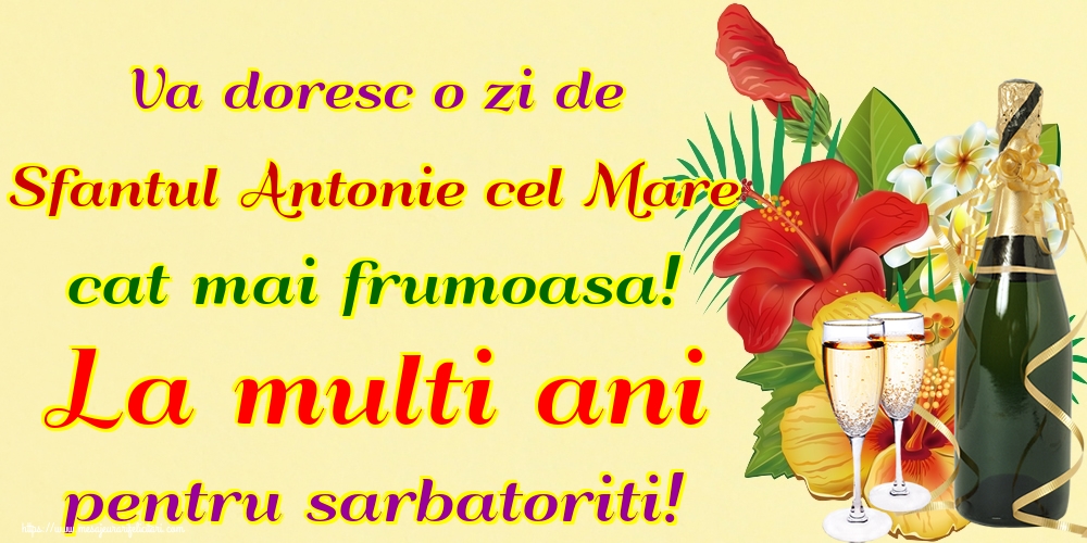 Va doresc o zi de Sfantul Antonie cel Mare cat mai frumoasa! La multi ani pentru sarbatoriti!