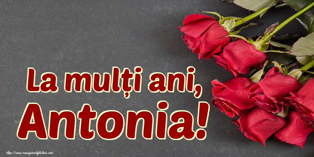 La mulți ani, Antonia!