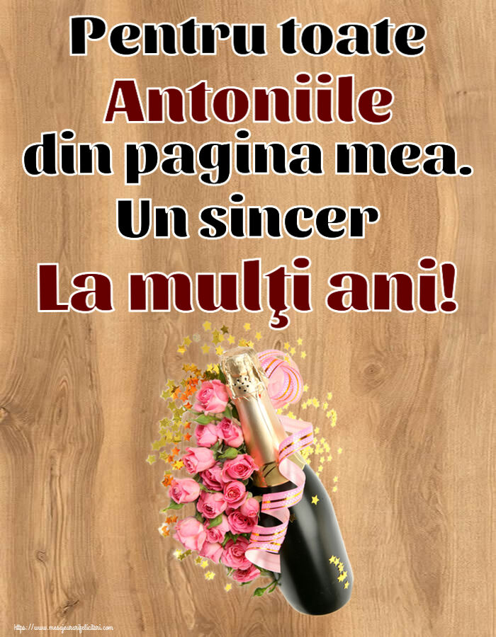Sfantul Antonie cel Mare Pentru toate Antoniile din pagina mea. Un sincer La mulţi ani! ~ aranjament cu șampanie și flori