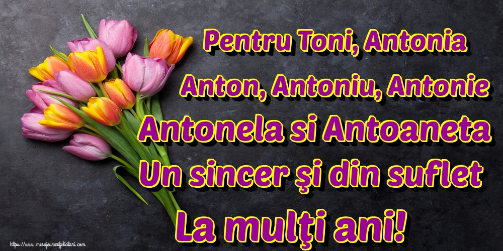 Pentru Toni, Antonia Anton, Antoniu, Antonie Antonela si Antoaneta Un sincer şi din suflet La mulţi ani!