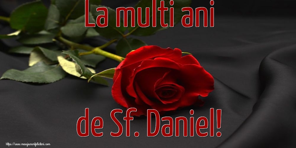 Felicitari de Sfantul Daniel - 🌼🥳 La multi ani de Sf. Daniel! - mesajeurarifelicitari.com
