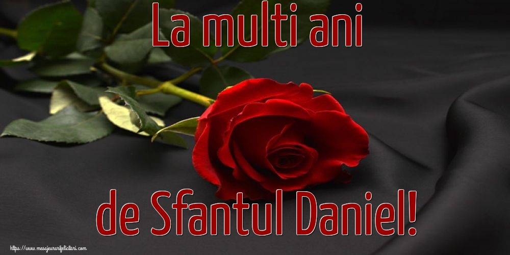 Felicitari de Sfantul Daniel - 🌼🥳 La multi ani de Sfantul Daniel! - mesajeurarifelicitari.com