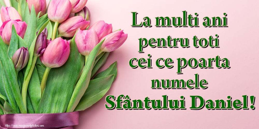 La multi ani pentru toti cei ce poarta numele Sfântului Daniel!