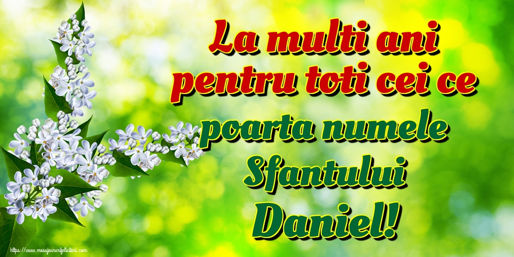 La multi ani pentru toti cei ce poarta numele Sfantului Daniel!