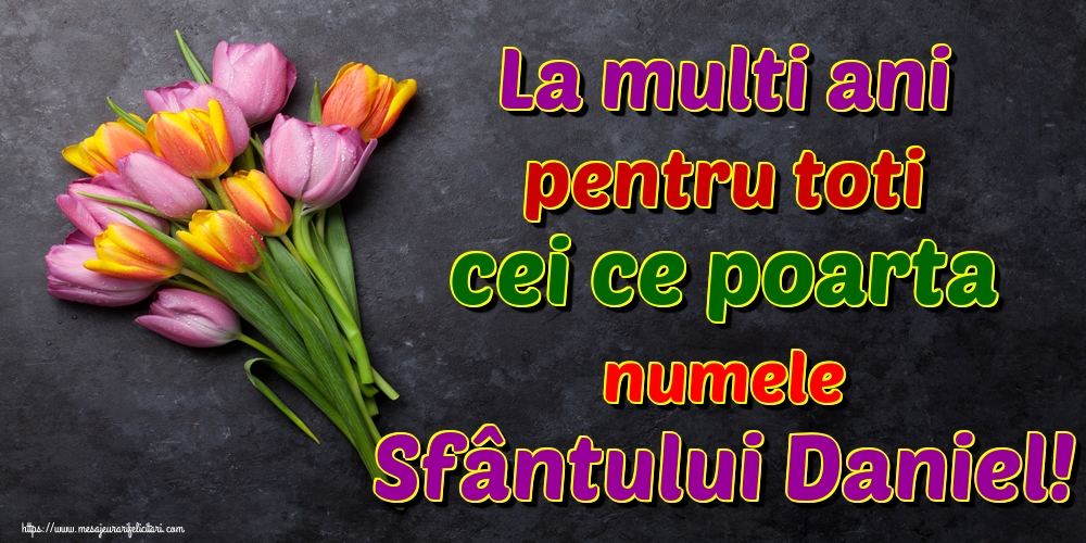 La multi ani pentru toti cei ce poarta numele Sfântului Daniel!