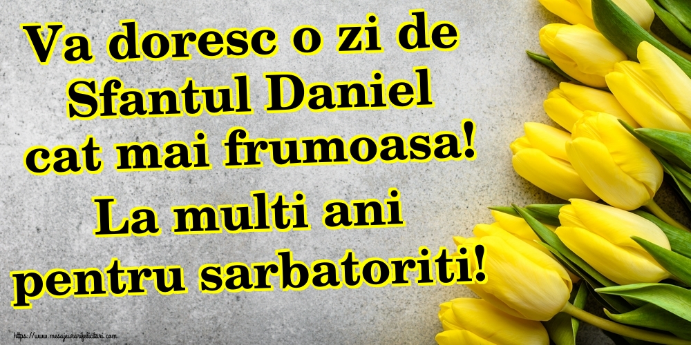 Va doresc o zi de Sfantul Daniel cat mai frumoasa! La multi ani pentru sarbatoriti!