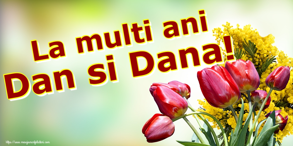 La multi ani Dan si Dana!
