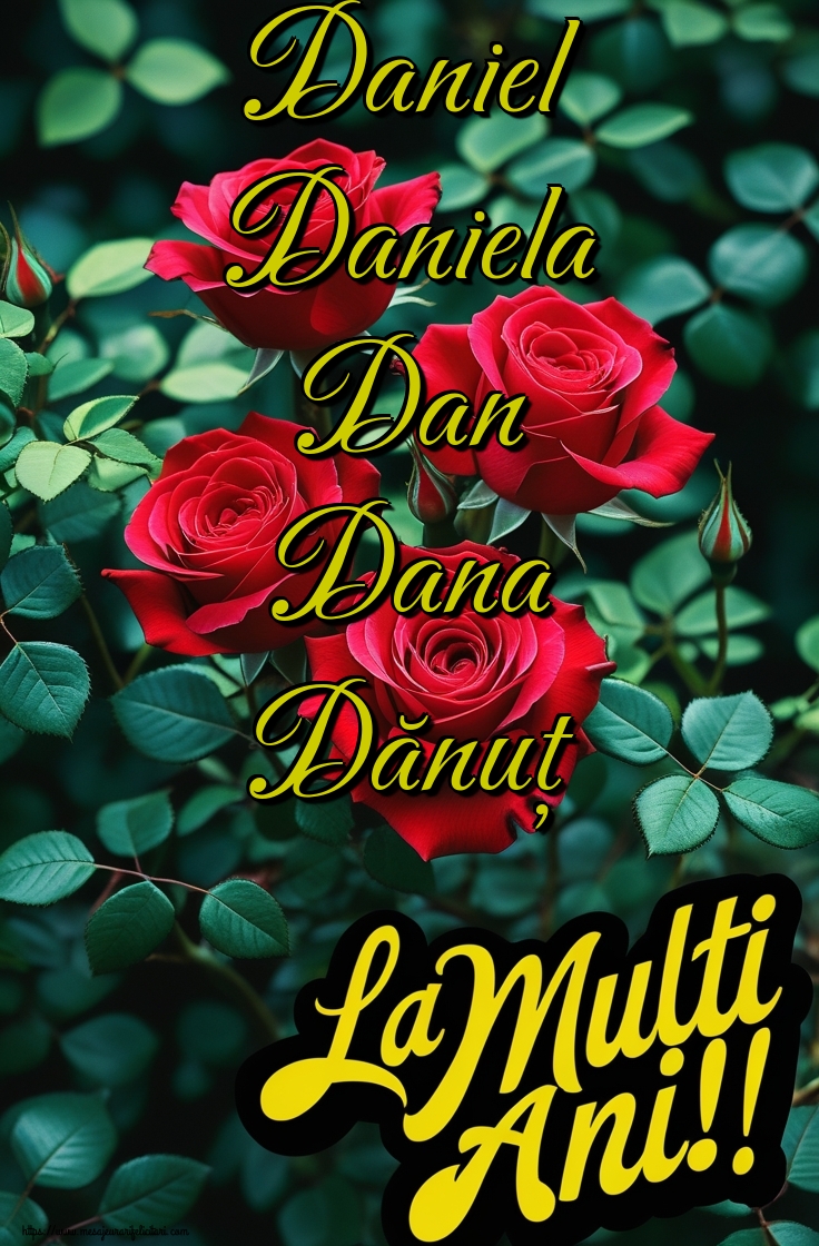 Daniel Daniela Dan Dana Dănuț