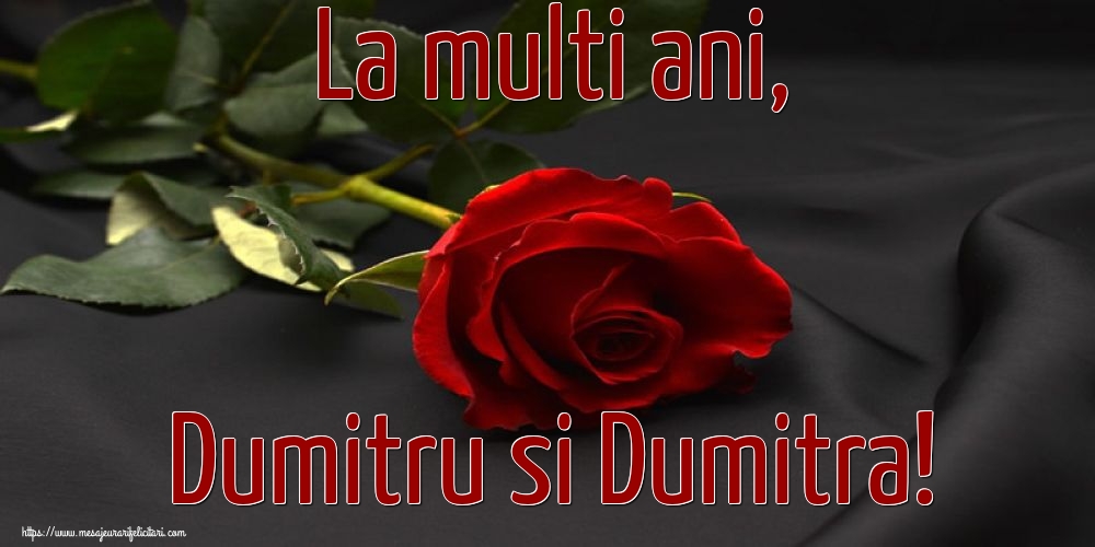 Felicitari de Sfântul Dimitrie cel Nou cu flori - La multi ani, Dumitru si Dumitra!