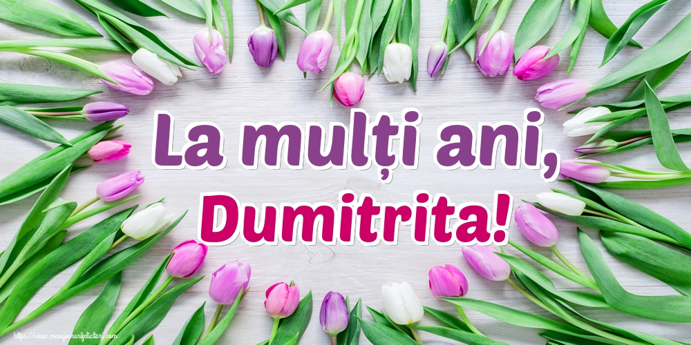 Felicitari de Sfântul Dimitrie cel Nou - La mulți ani, Dumitrita!