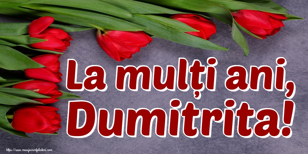Felicitari de Sfântul Dimitrie cel Nou - La mulți ani, Dumitrita!