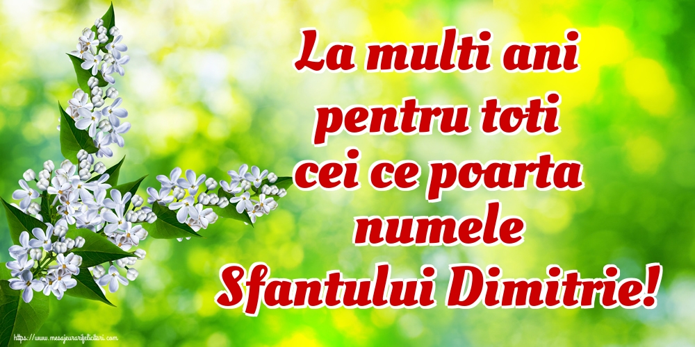 Felicitari de Sfântul Dimitrie cel Nou - La multi ani pentru toti cei ce poarta numele Sfantului Dimitrie!