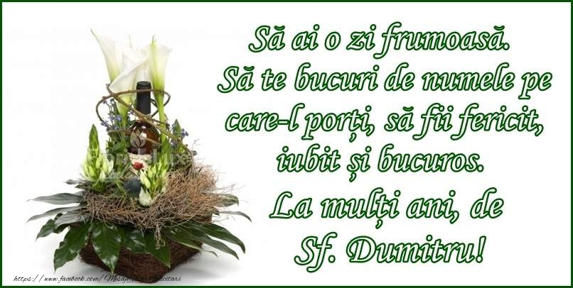La multi ani de Sf. Dumitru!