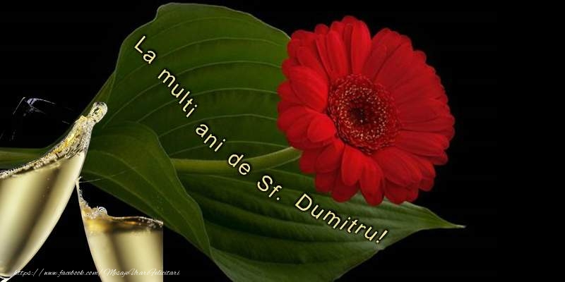 La multi ani de Sf. Dumitru!
