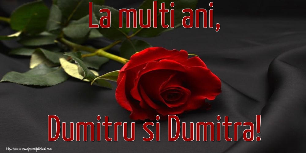 La multi ani, Dumitru si Dumitra!