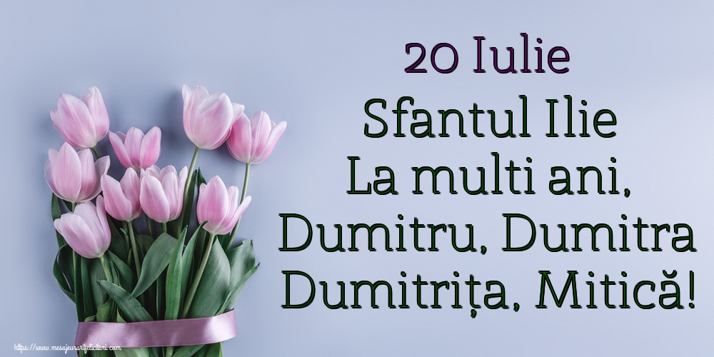 20 Iulie Sfantul Ilie La multi ani, Dumitru, Dumitra Dumitrița, Mitică!