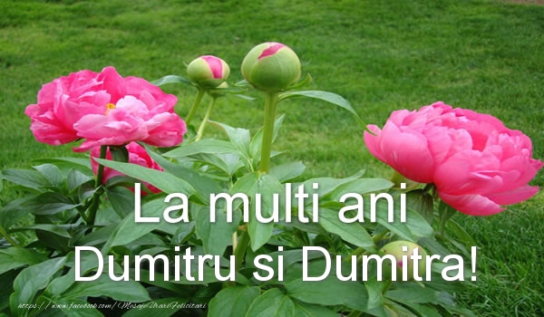 La multi ani Dumitru si Dumitra!