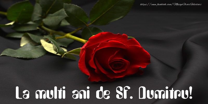 La multi ani de Sf. Dumitru!