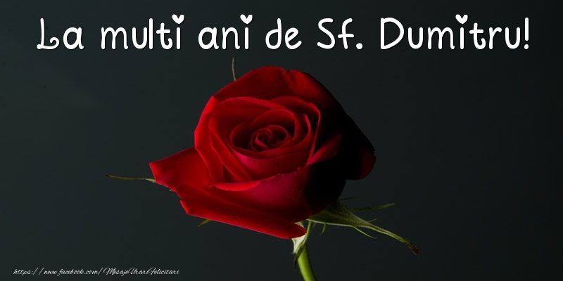 La multi ani de Sf. Dumitru!