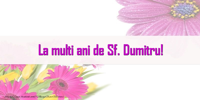La multi ani de Sf. Dumitru!