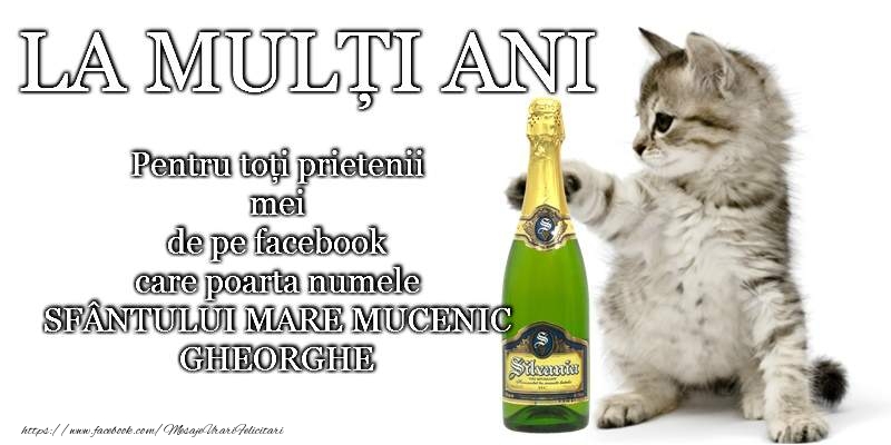 La multi ani de Sfantul Gheorghe!