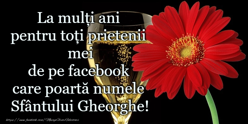La multi ani de Sf. Gheorghe!