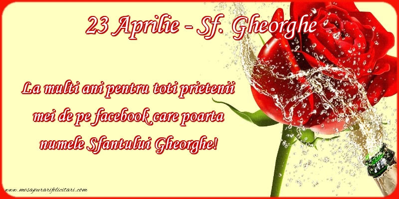 La multi ani de Sfantul Gheorghe!