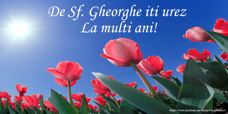 Cele mai apreciate felicitari de Sfantul Gheorghe - De Sf. Gheorghe iti urez La multi ani!